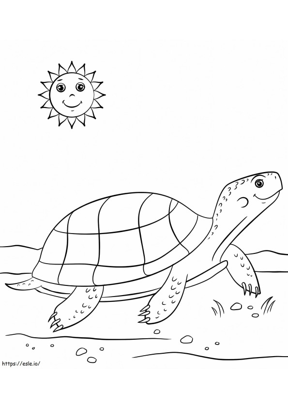 Tartaruga e sol dos desenhos animados para colorir