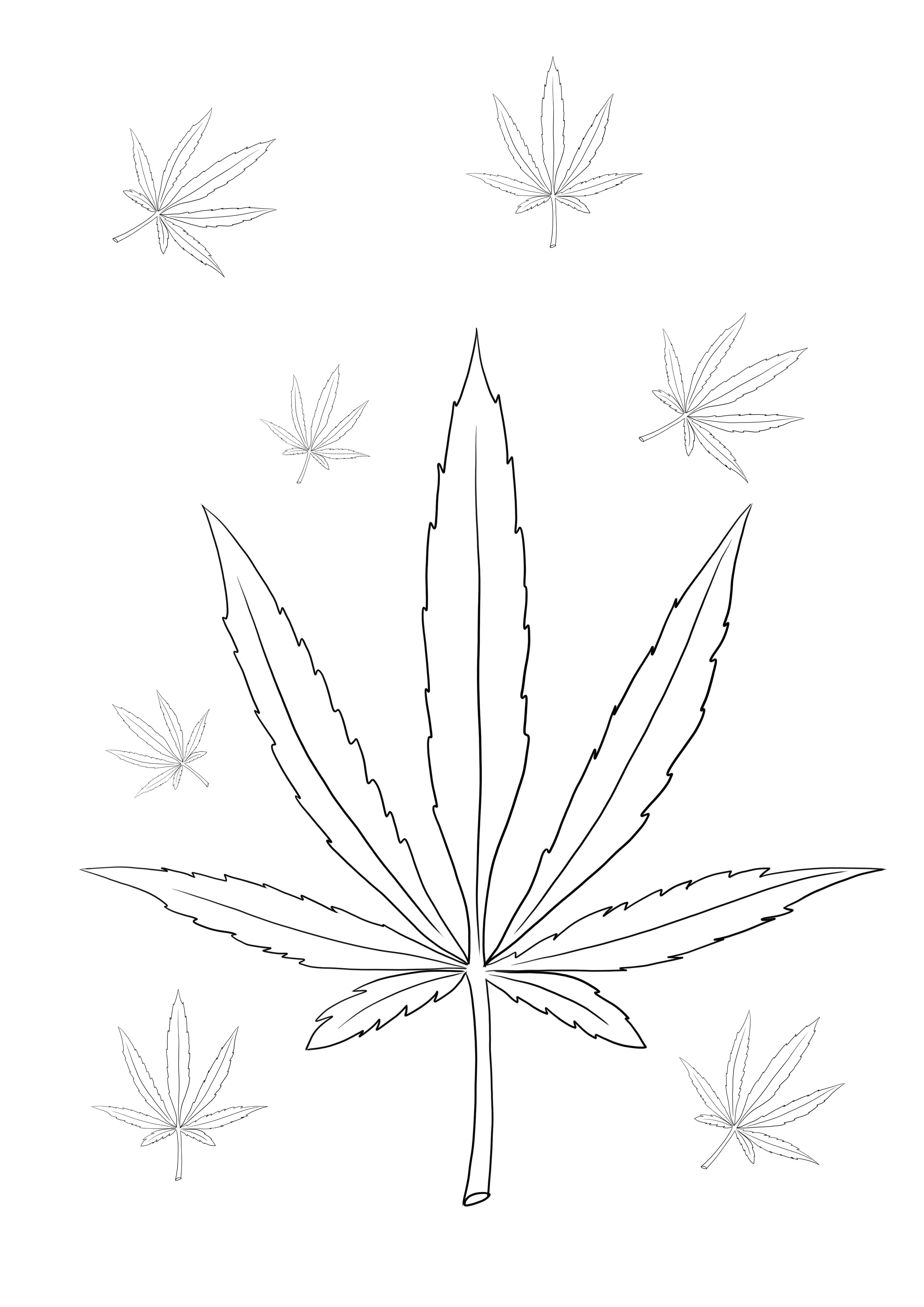 Weed leaf coloring sheet for free printing
