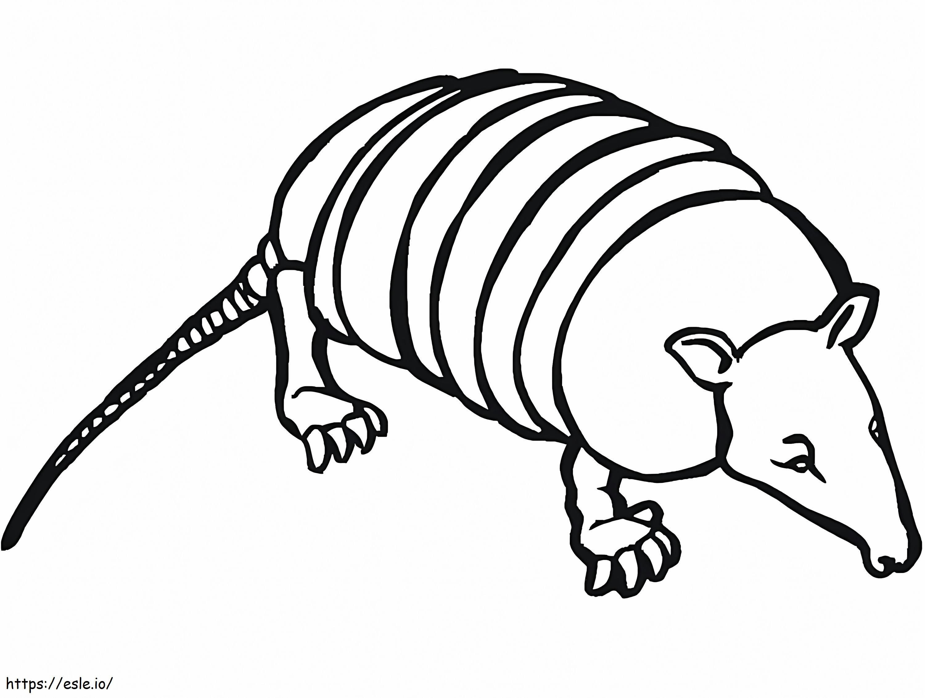 Free Printable Armadilo coloring page