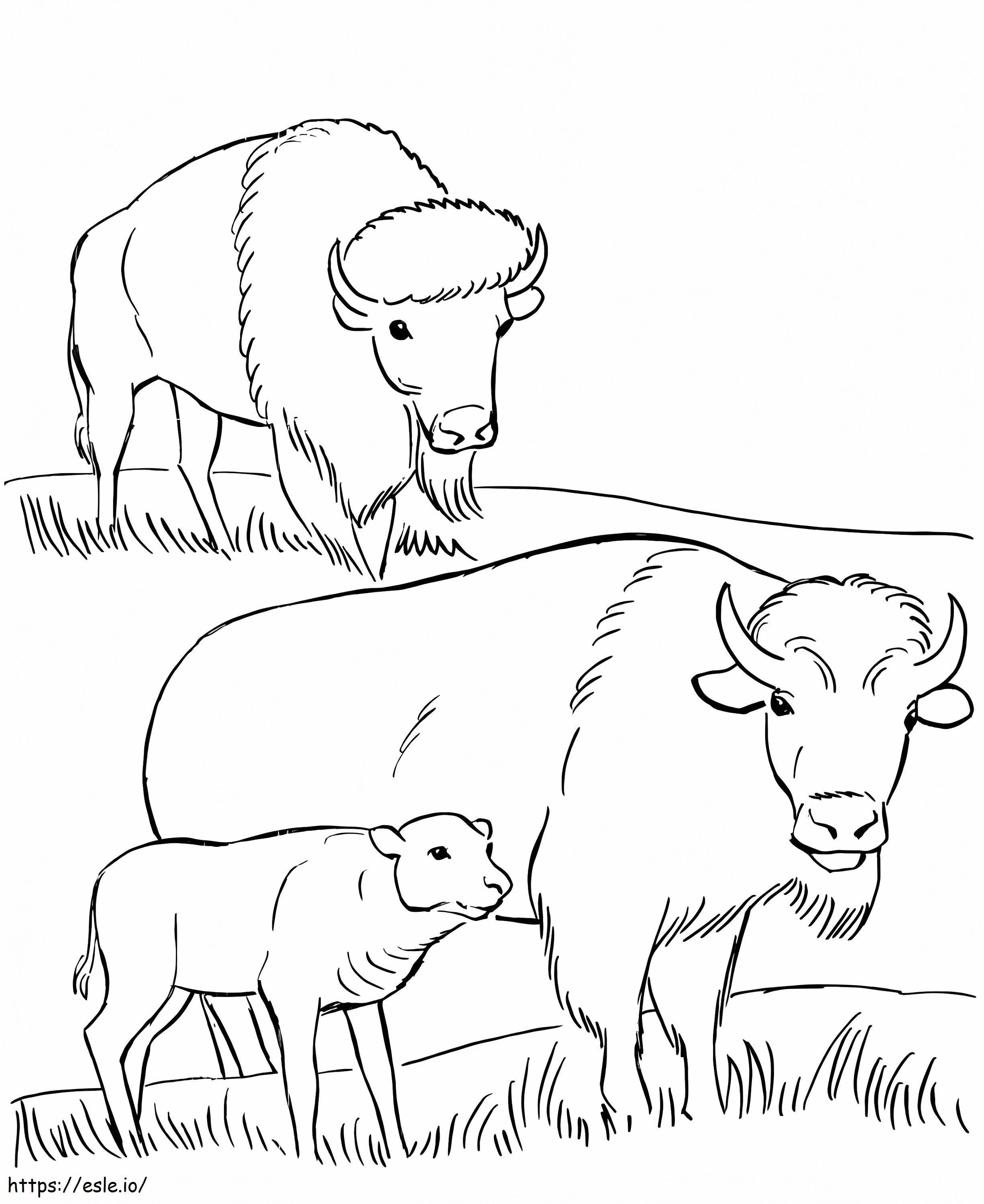 Family Bison coloring page