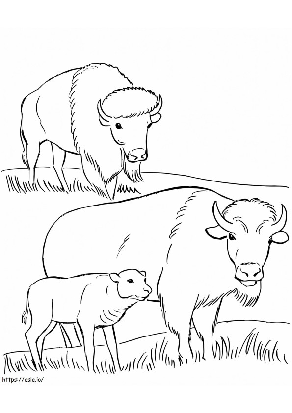 Familie de bizoni de colorat