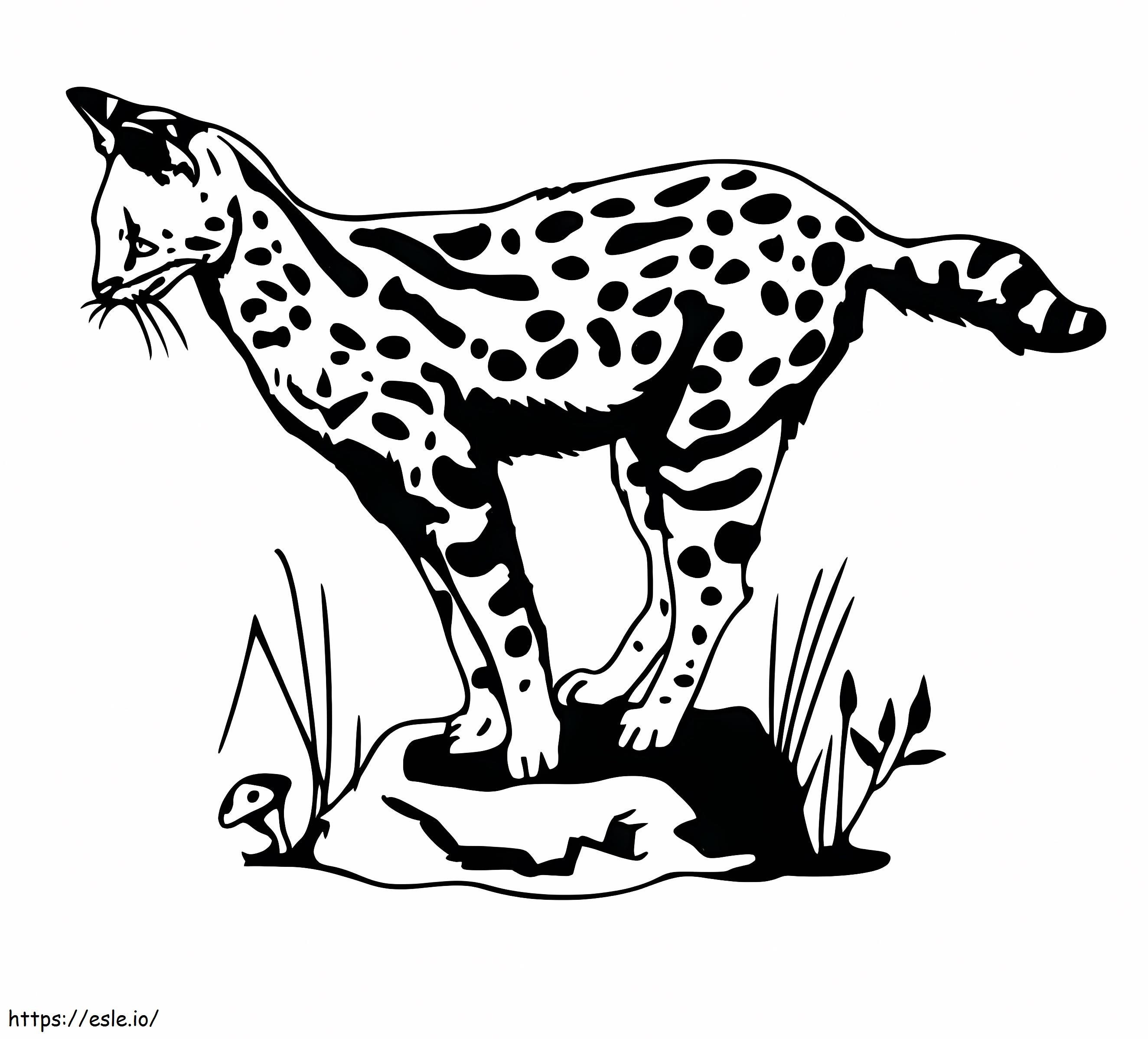 Gattopardo curioso da colorare