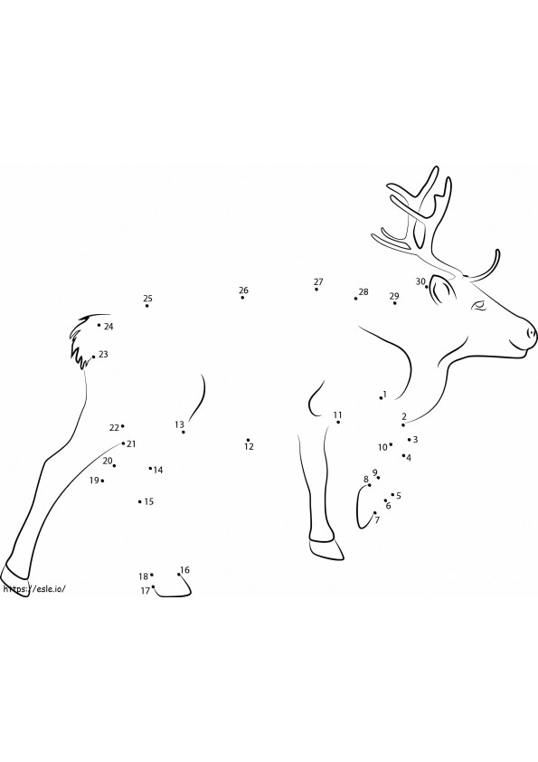 Reindeer Dot To Dots For Children coloring page