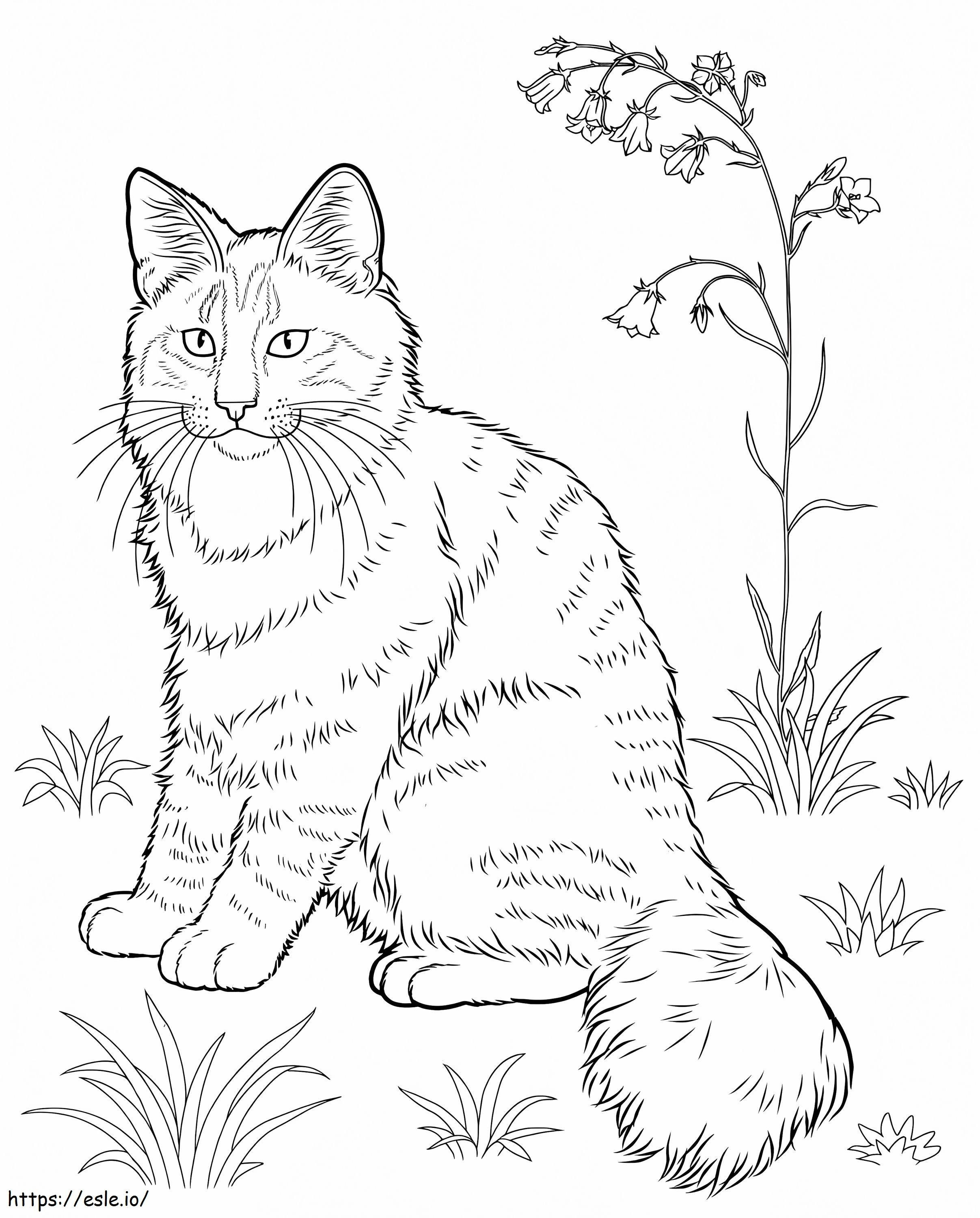 Norwegian Forest Cat 1 coloring page