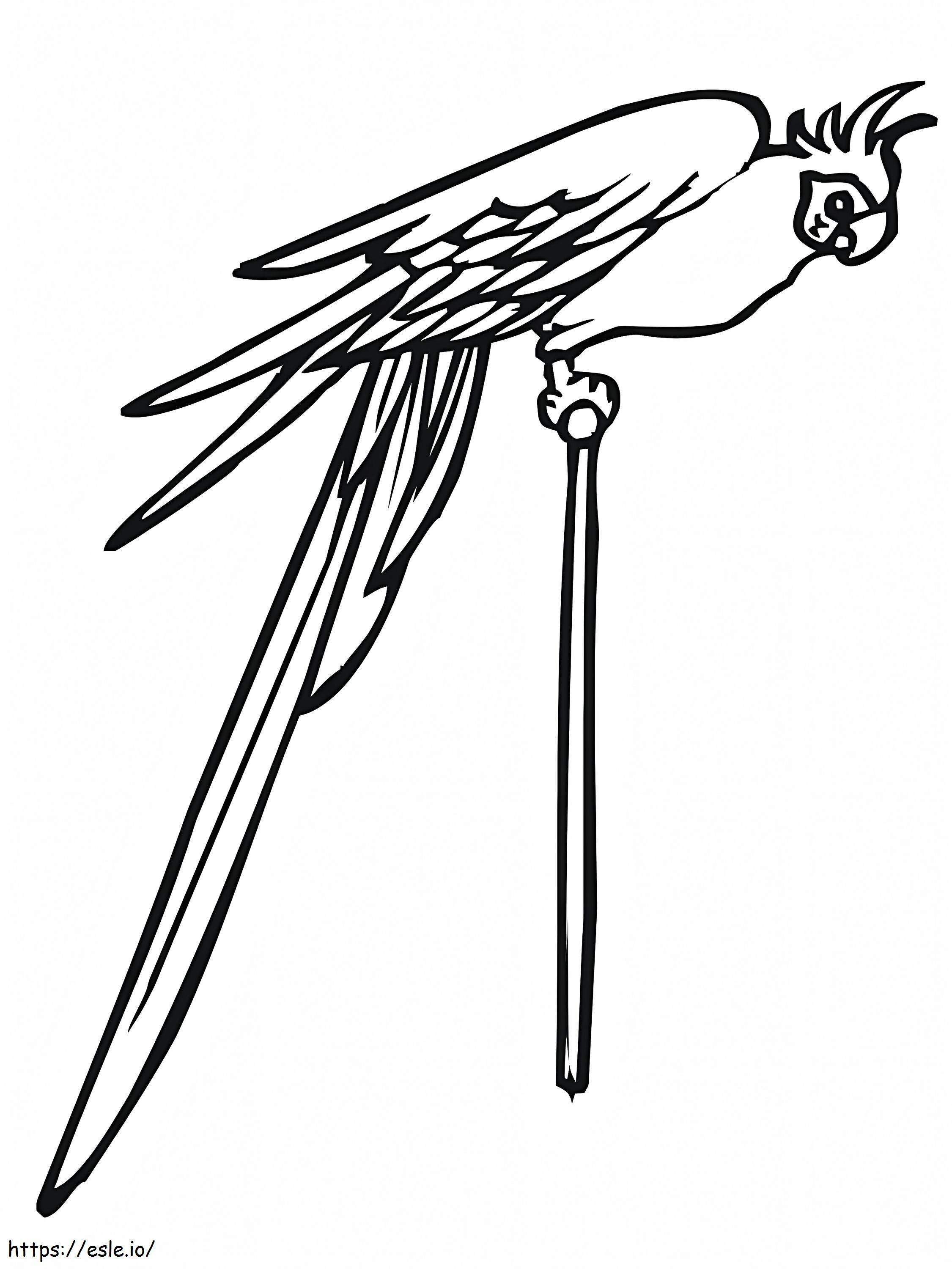 Bir direğin üzerinde muhabbet kuşu boyama