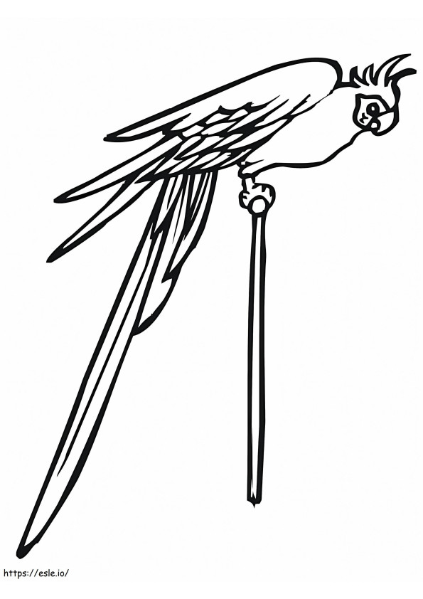 Parakeet On A Pole coloring page