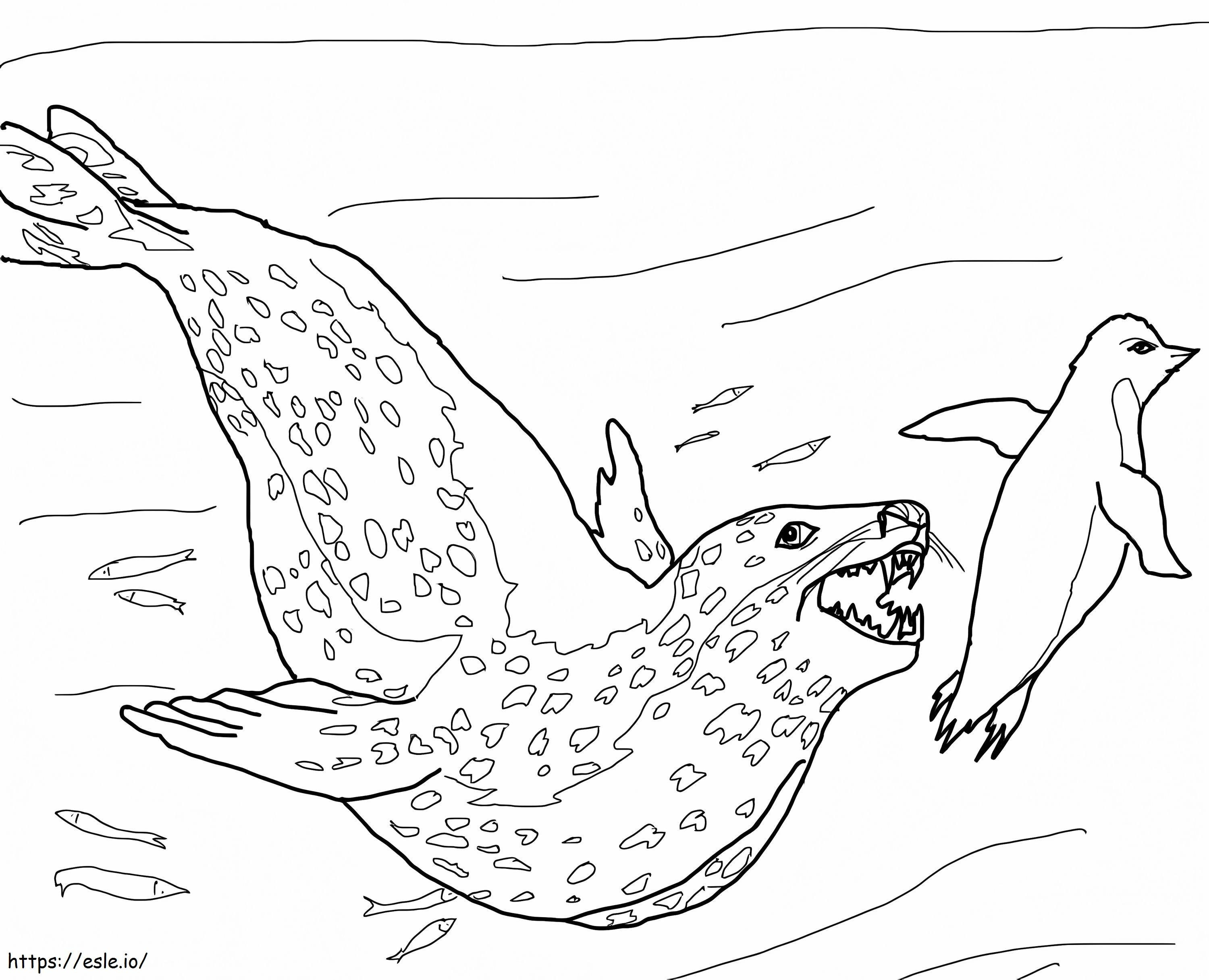 Zeehondenjachtpinguïn kleurplaat kleurplaat