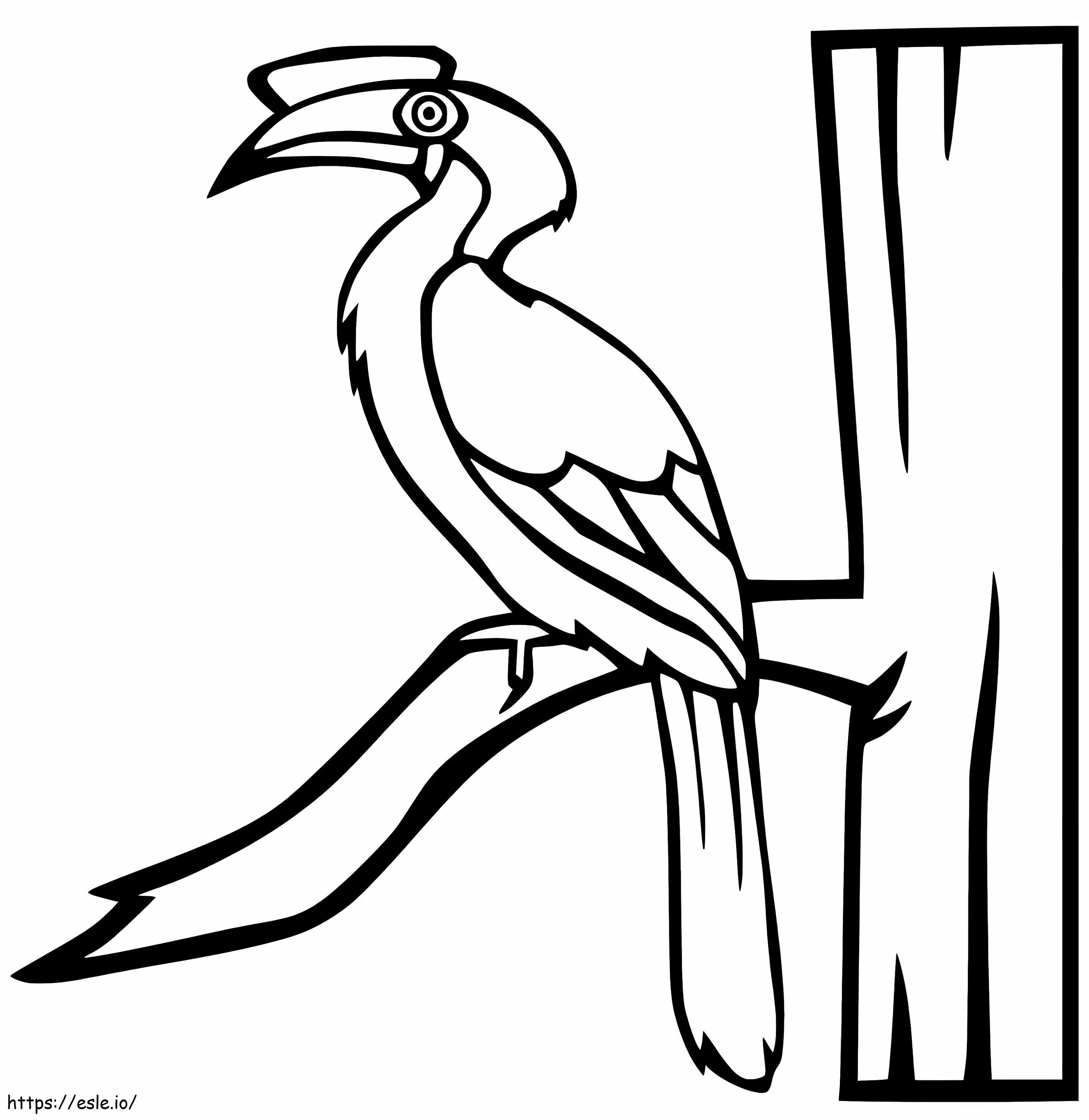 Hornbill On A Tree Coloring Page