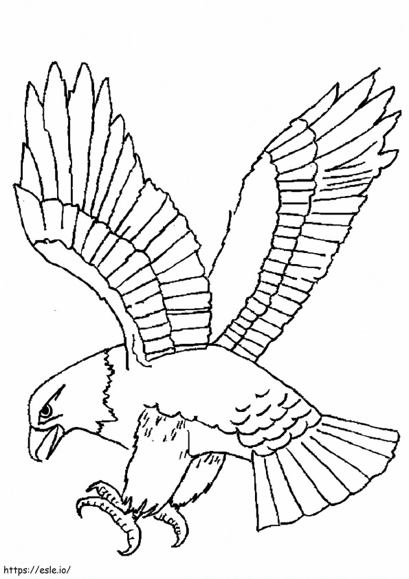 Incredible Eagle coloring page