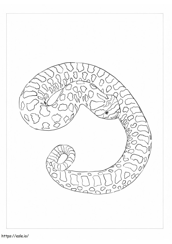Coloriage Serpent à gros nez à imprimer dessin
