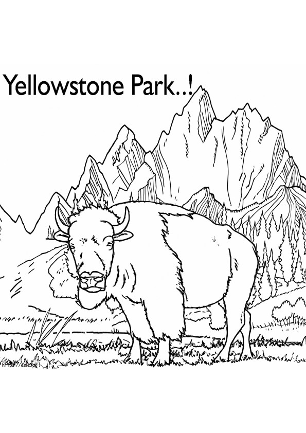 Bison Taman Yellowstone Gambar Mewarnai