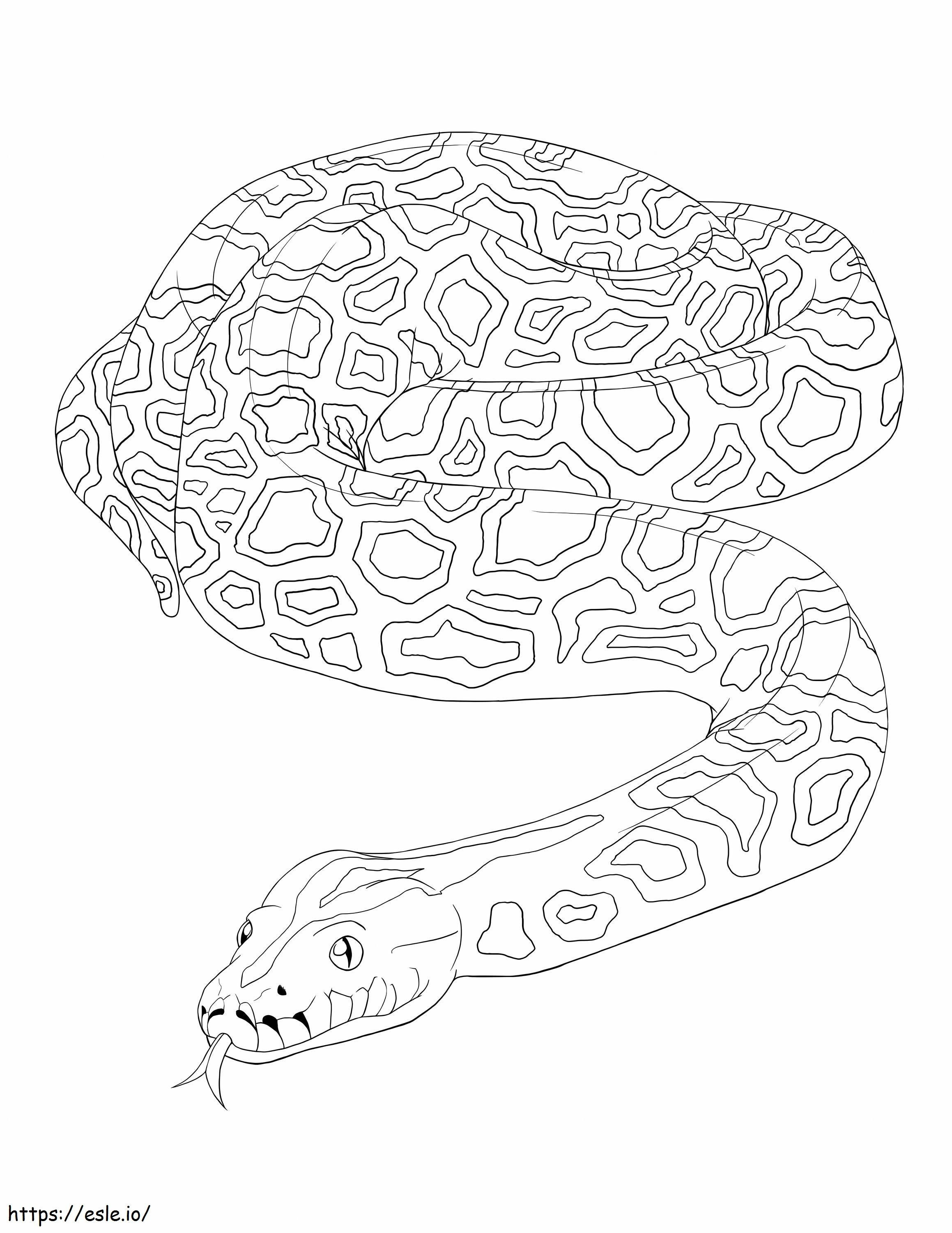 ウロコ状のビルマニシキヘビ ぬりえ - 塗り絵