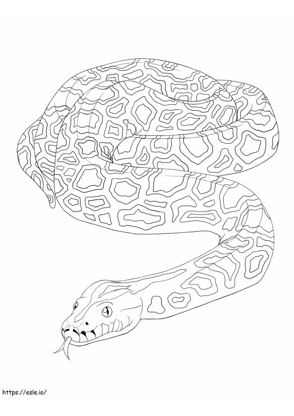 ウロコ状のビルマニシキヘビ ぬりえ - 塗り絵