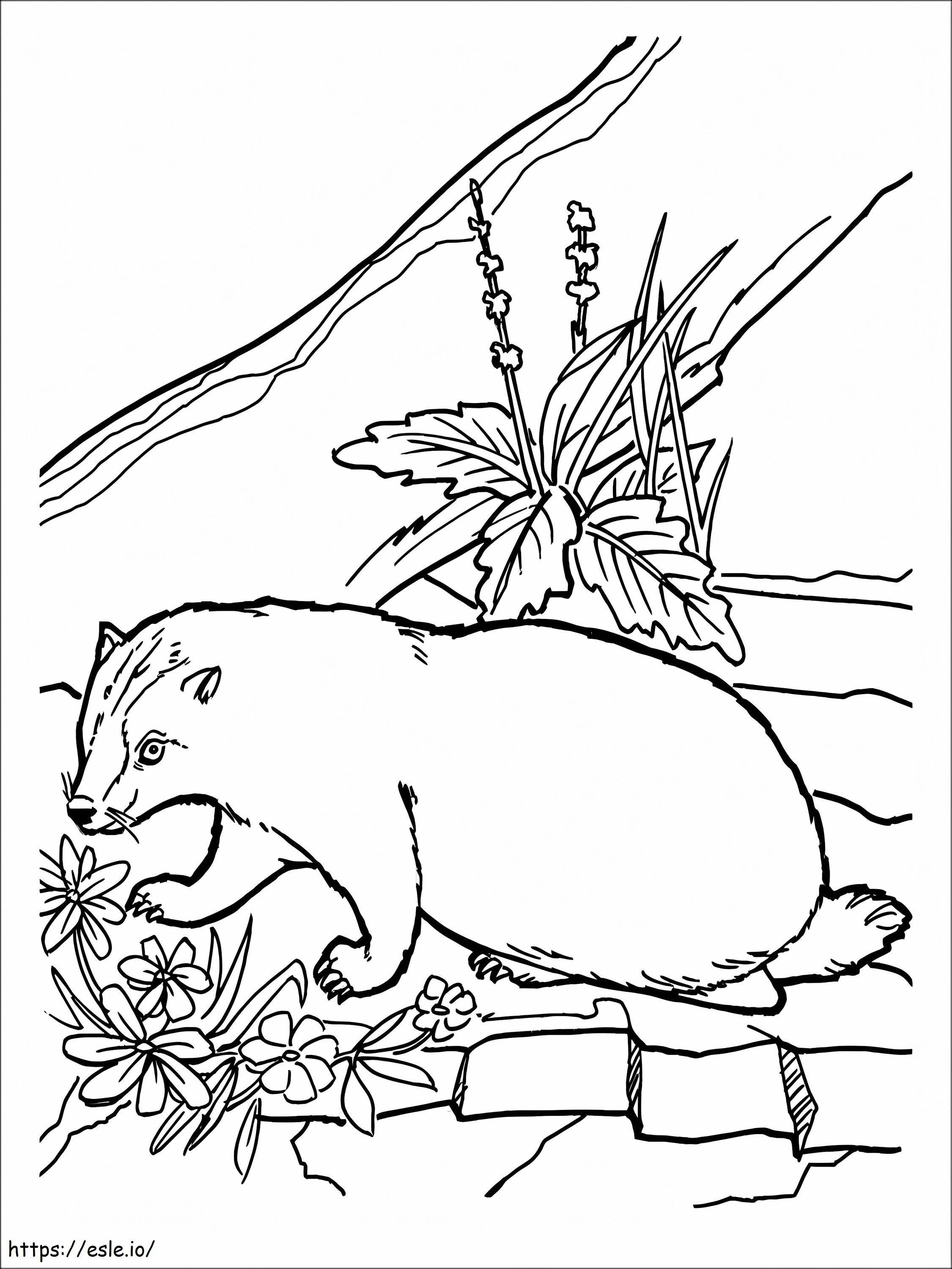 Badger And Flowers coloring page