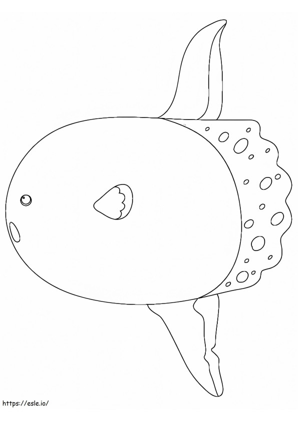 A Sunfish coloring page