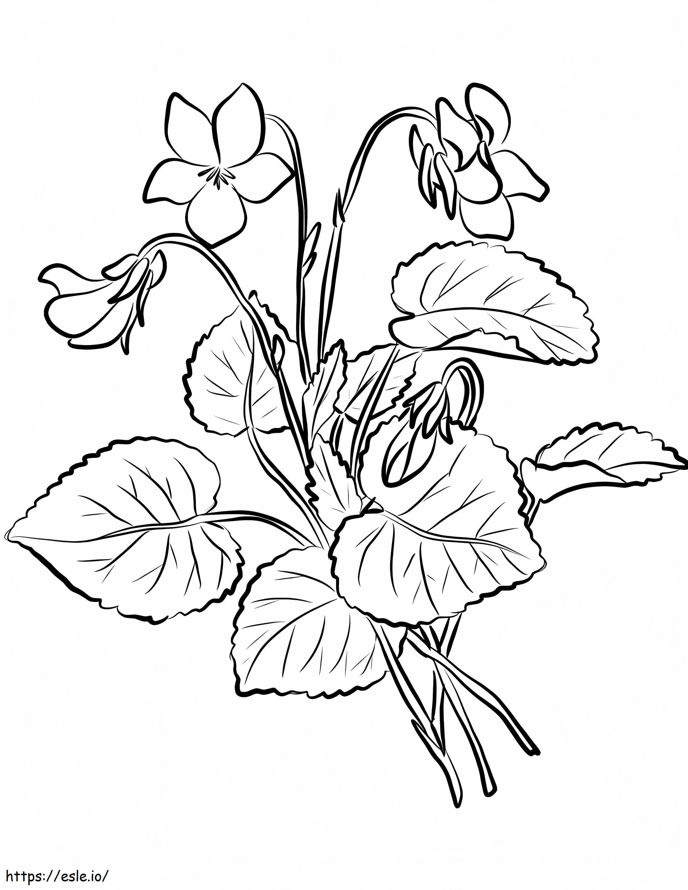 Coloriage Fleur violette 7 à imprimer dessin