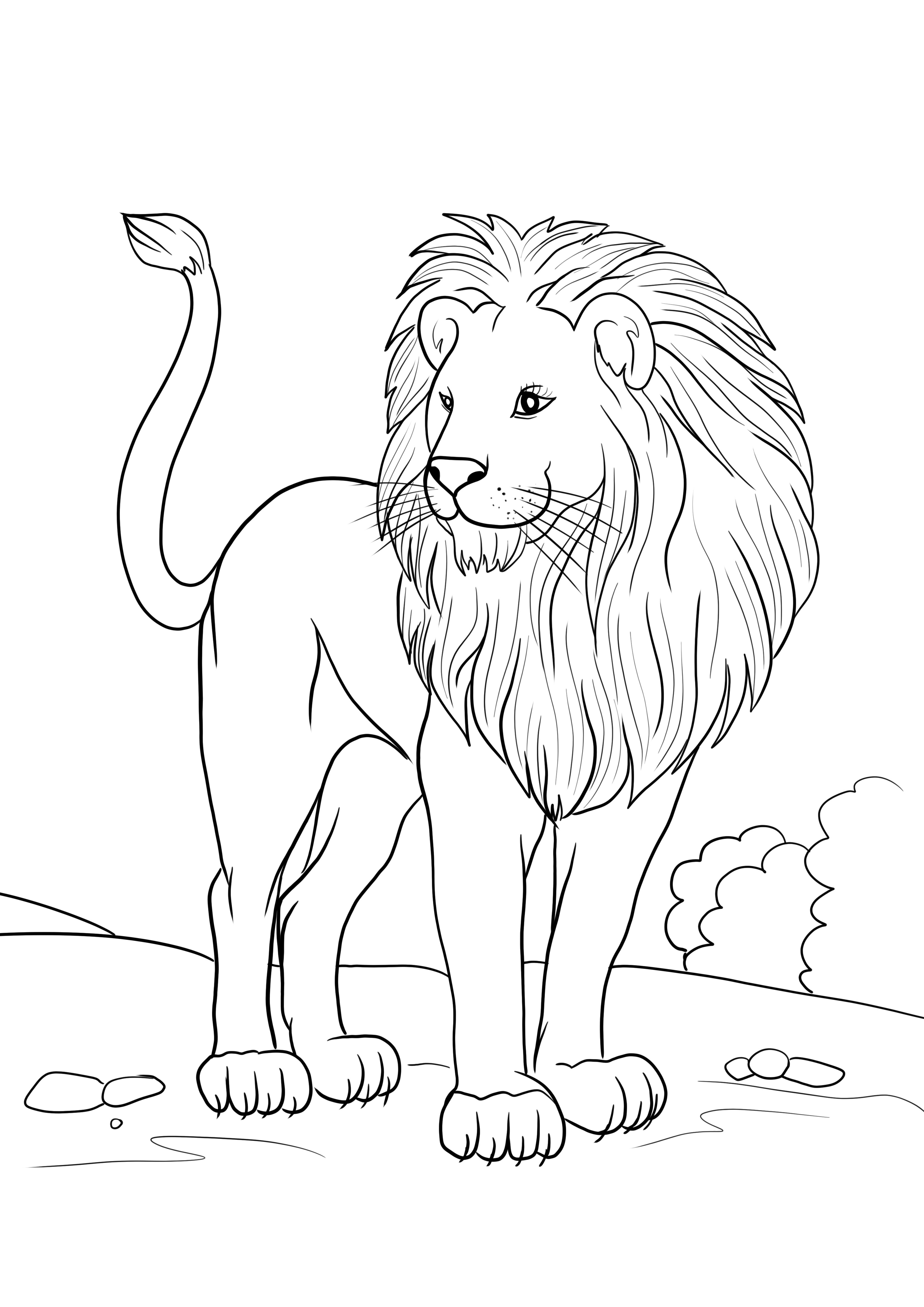無料でページを印刷またはダウンロードするためのアフリカのライオン