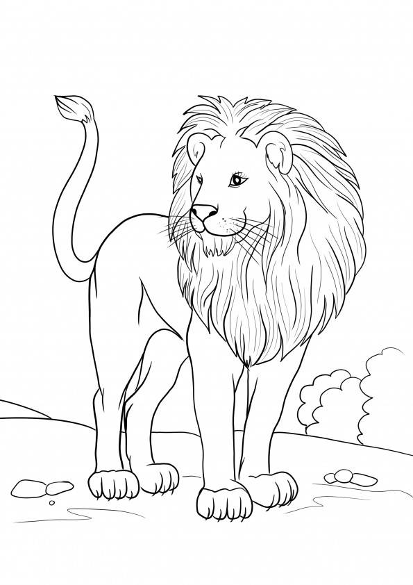 African lion to print or download page for free