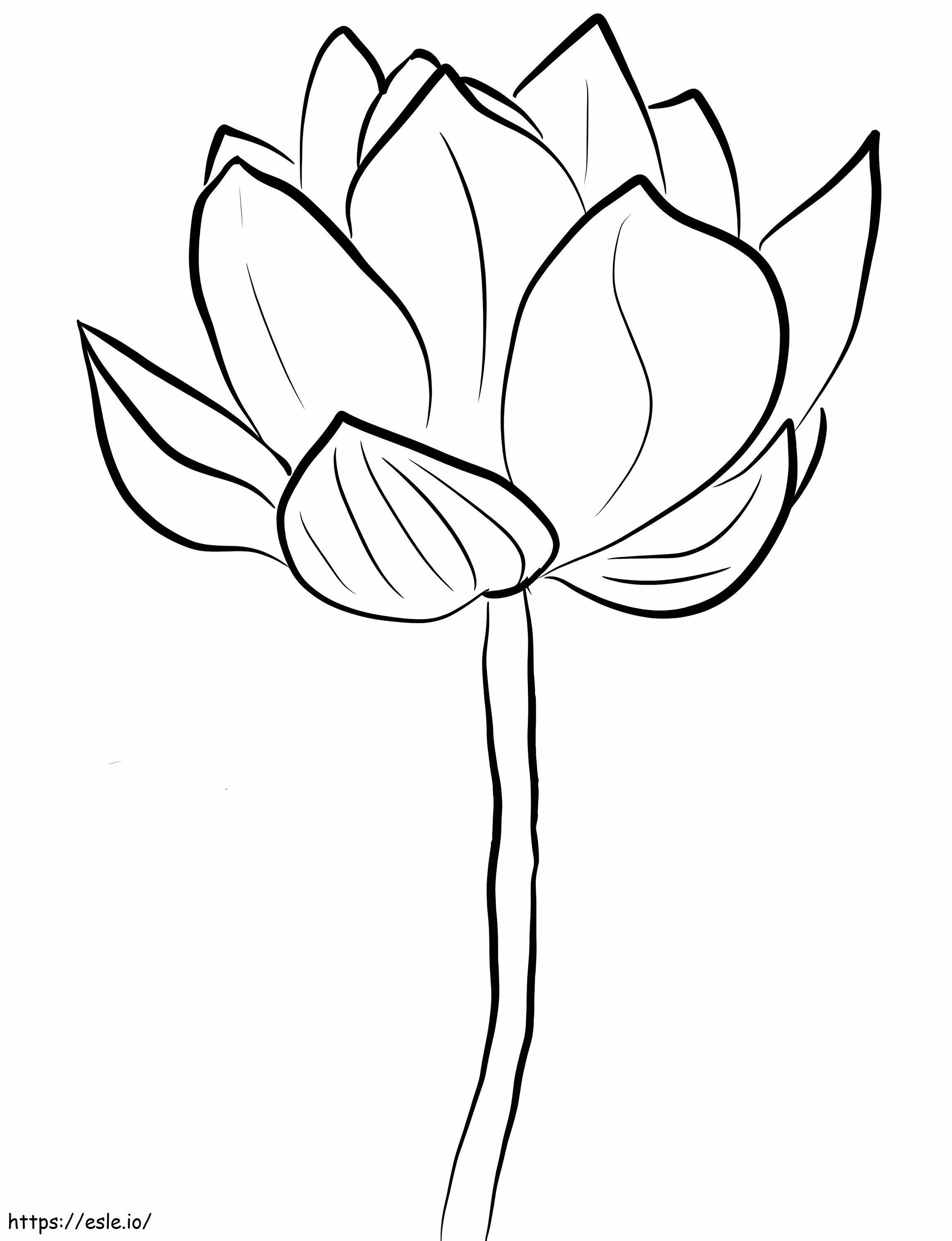 Coloriage Fleur de lotus à imprimer dessin