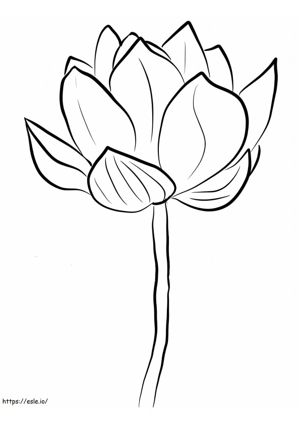 Kwiat lotosu kolorowanka