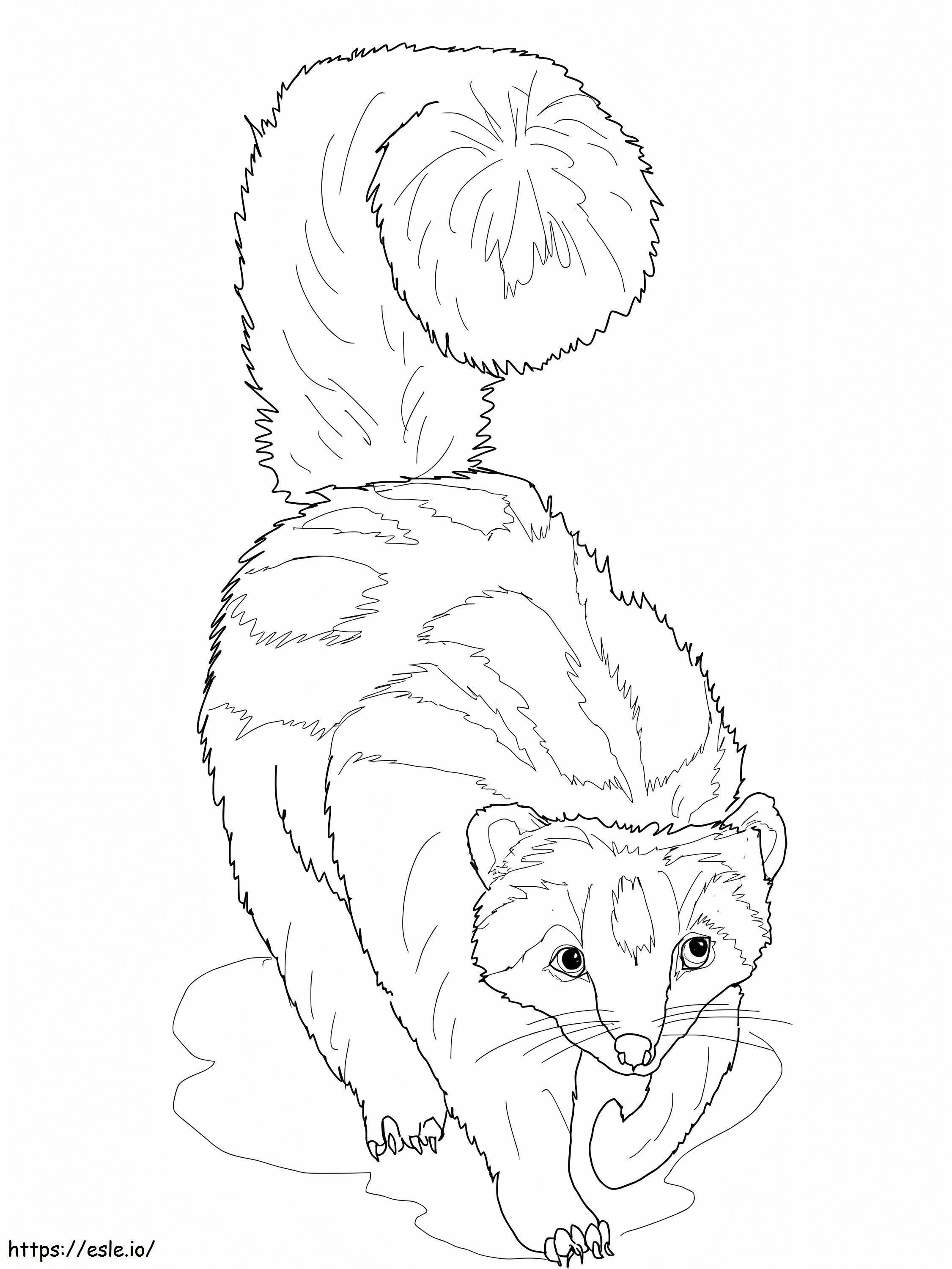 Striped Ferret coloring page