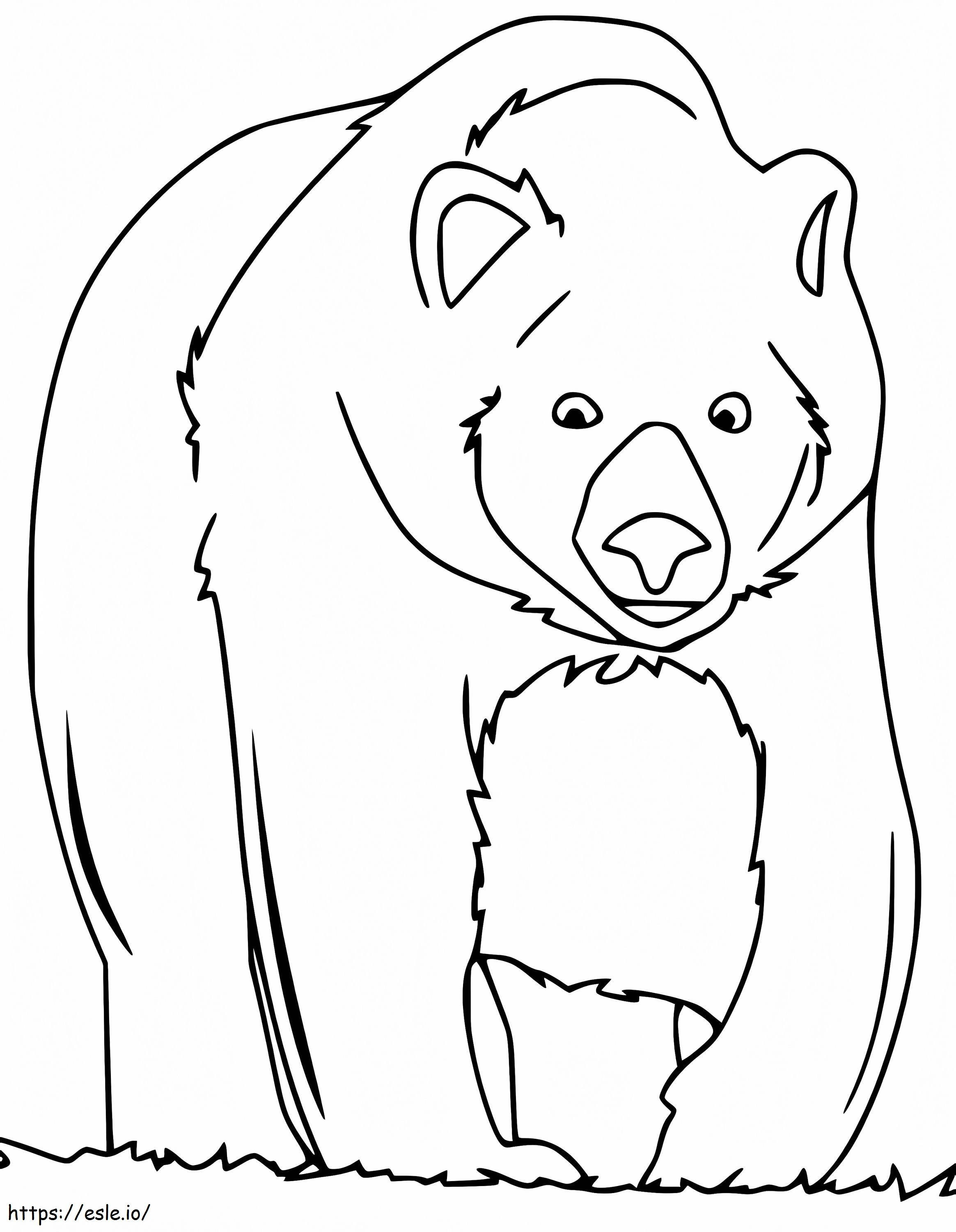 Bruine beer 18 kleurplaat kleurplaat