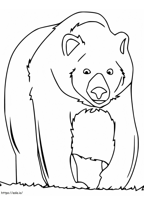 Ruskea karhu 18 värityskuva