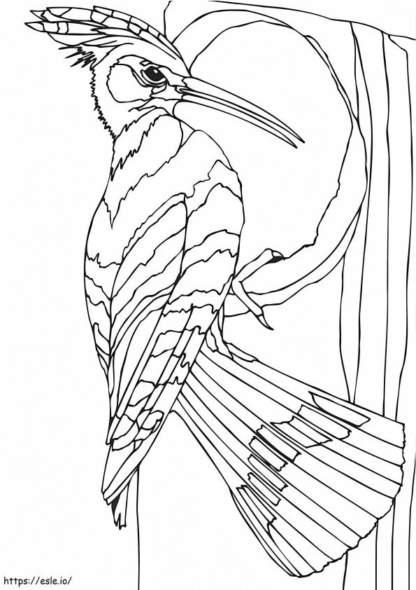 Coloriage Oiseau pic à imprimer dessin