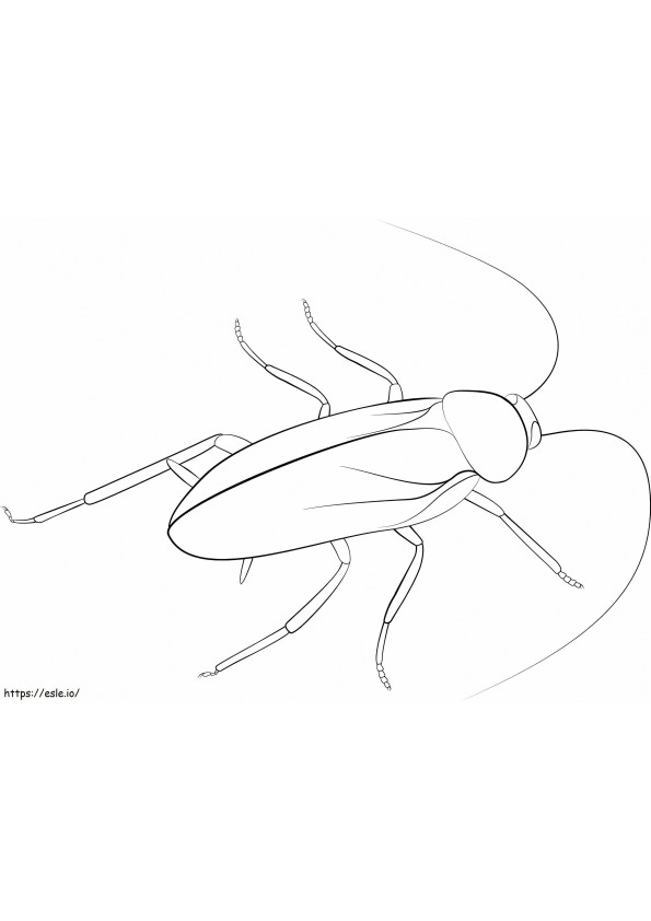 Cockroach 2 coloring page
