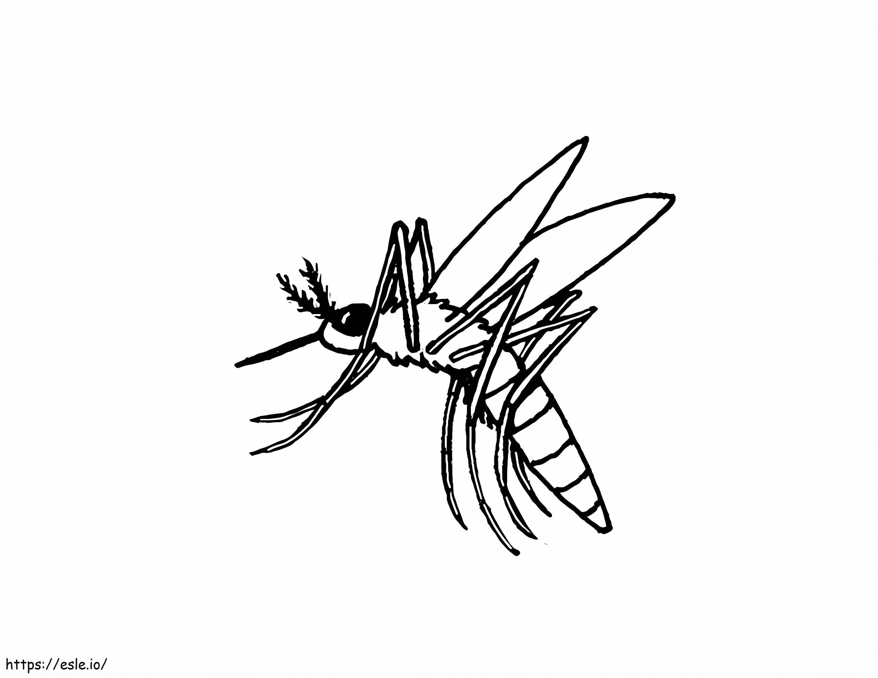 小さな蚊 ぬりえ - 塗り絵