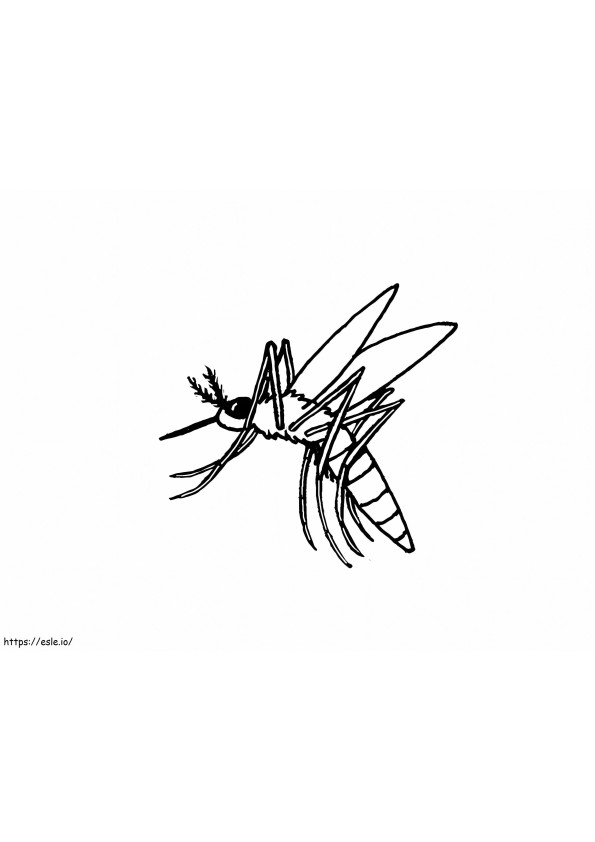 Small Mosquito coloring page