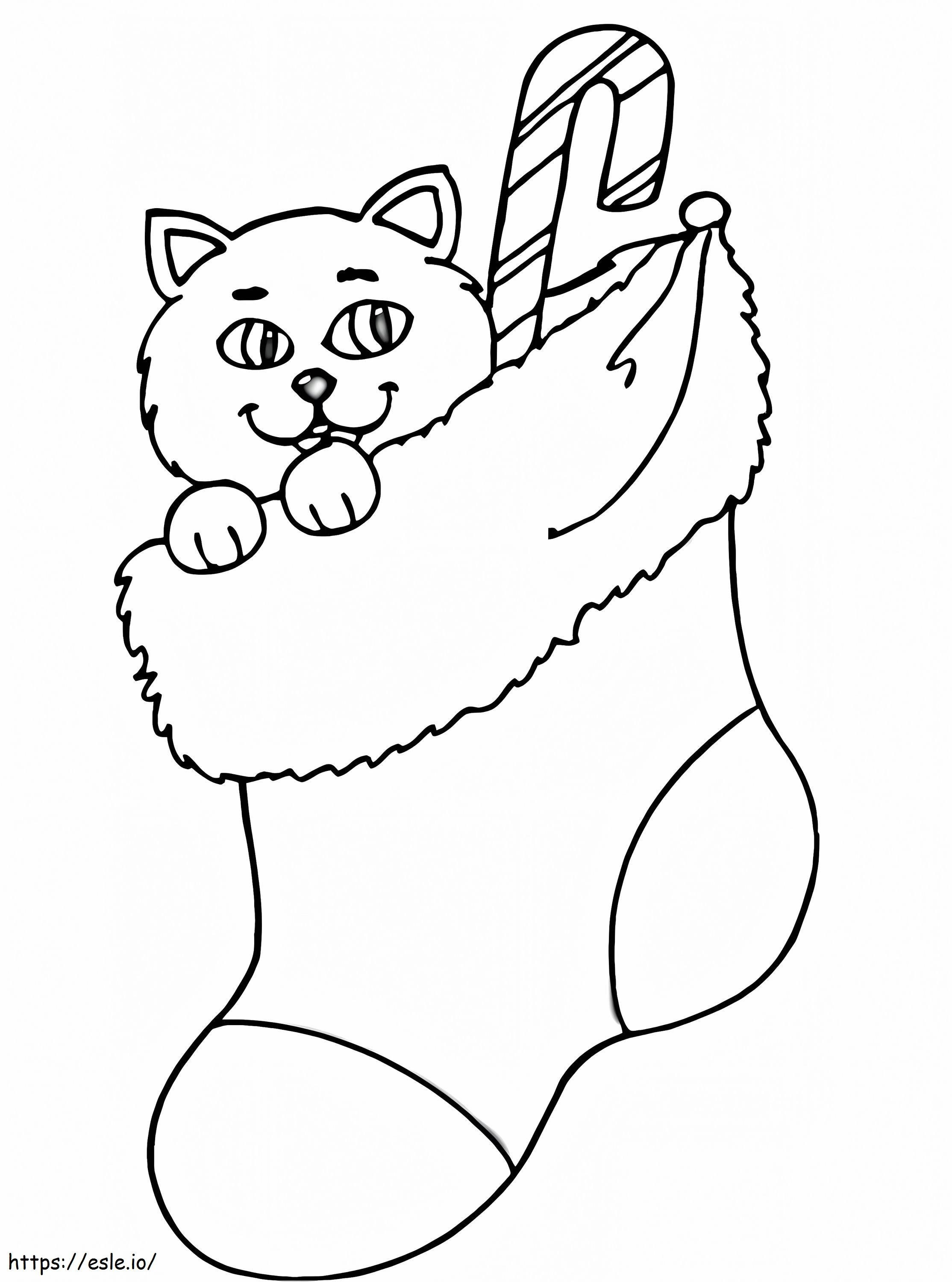 Cat In Christmas Stocking coloring page