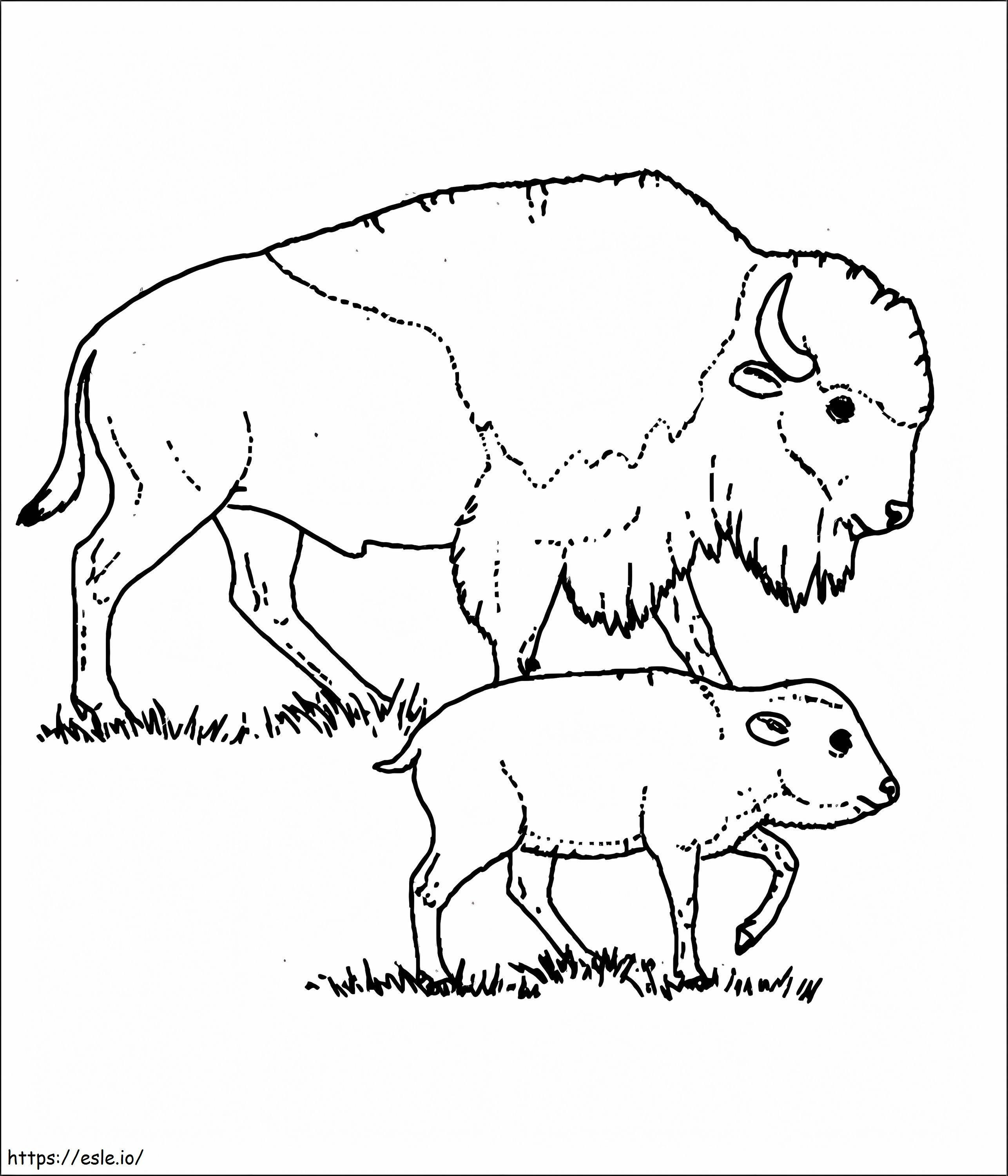 Madre y bebé bisonte para colorear