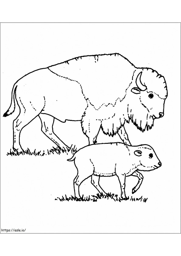 Coloriage Mère et bébé bison à imprimer dessin