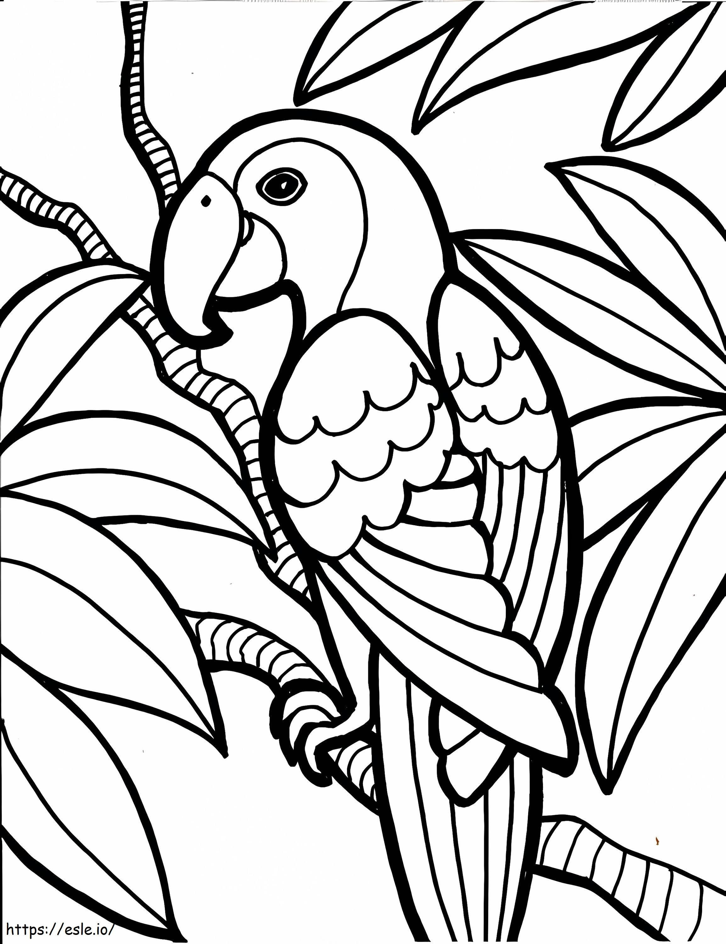 Coloriage Le perroquet est pour les adultes à imprimer dessin