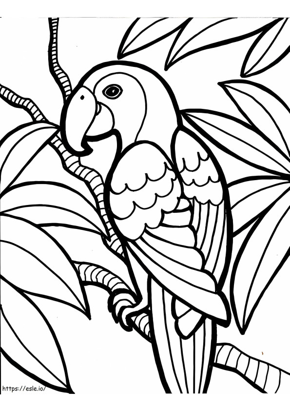 Coloriage Le perroquet est pour les adultes à imprimer dessin
