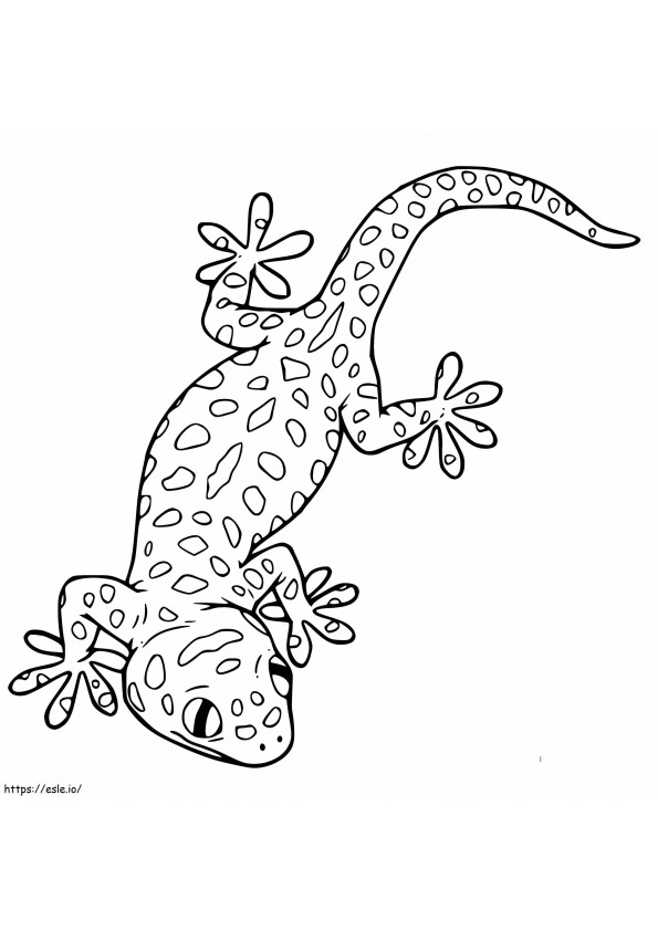Coloriage Gecko léopard 3 à imprimer dessin