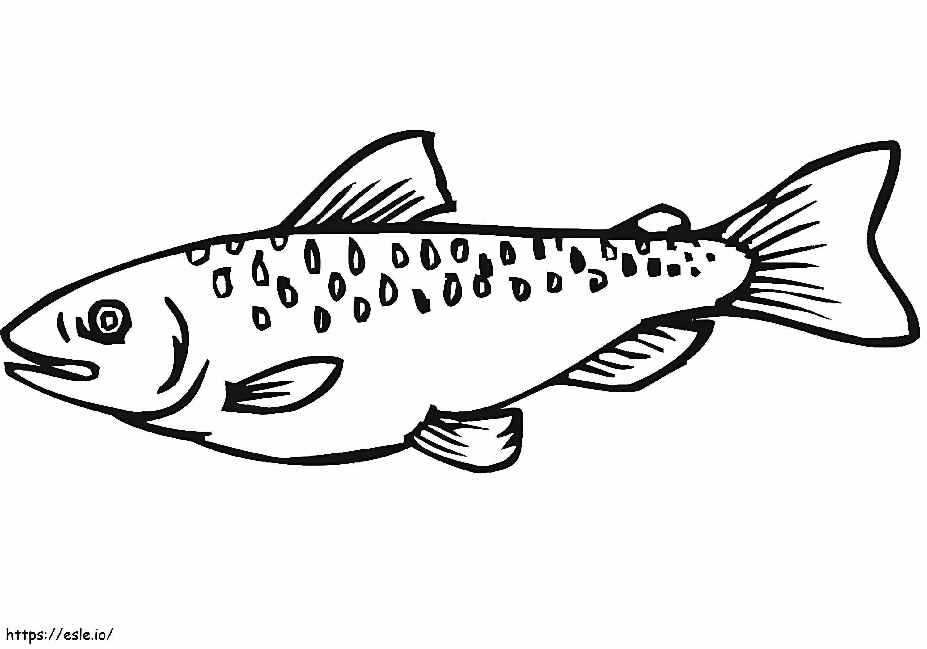 Imagem de salmão para colorir
