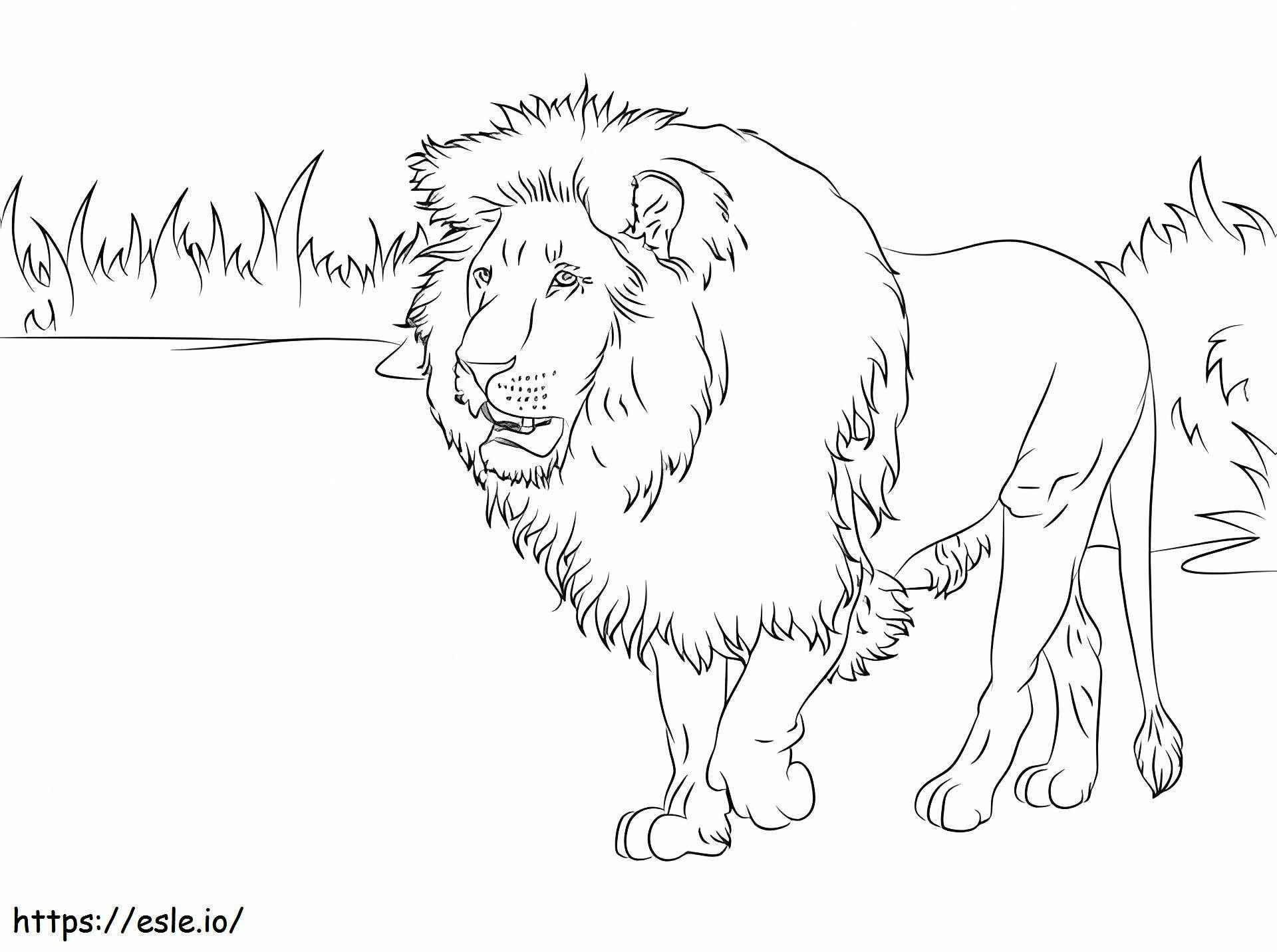 1532748481 Gorgeous African Lion A4 E1600318959931 coloring page