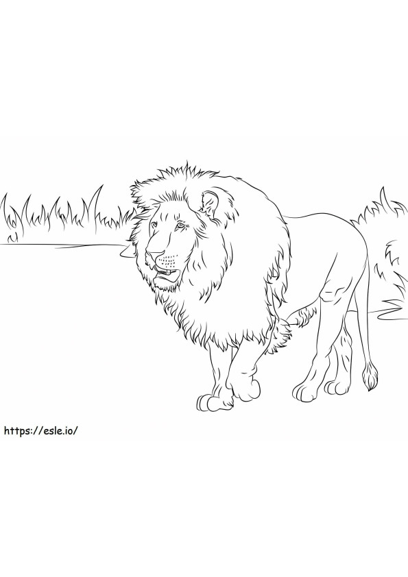 1532748481 Gorgeous African Lion A4 E1600318959931 coloring page