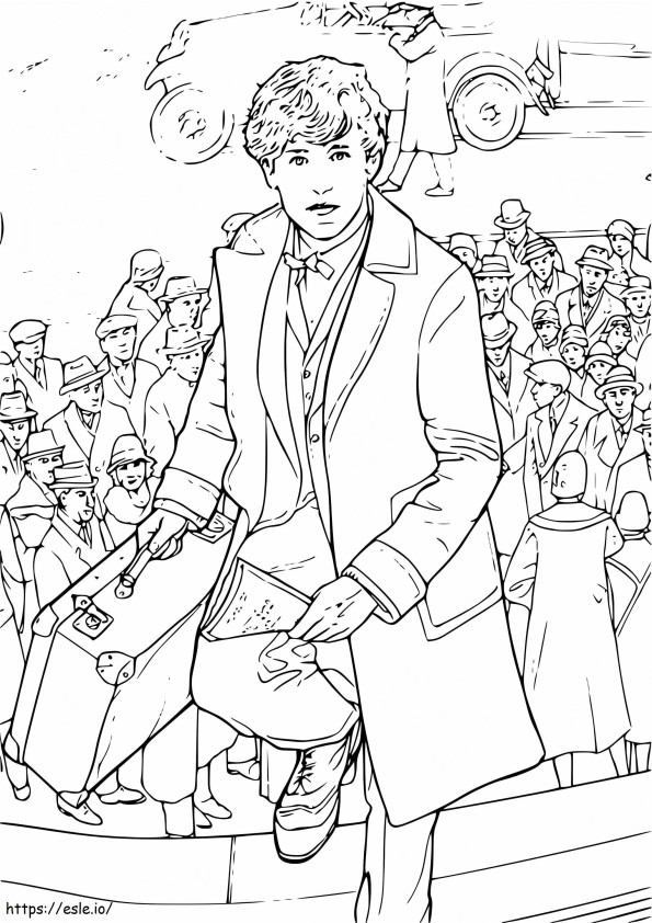 Newt Scamander 1