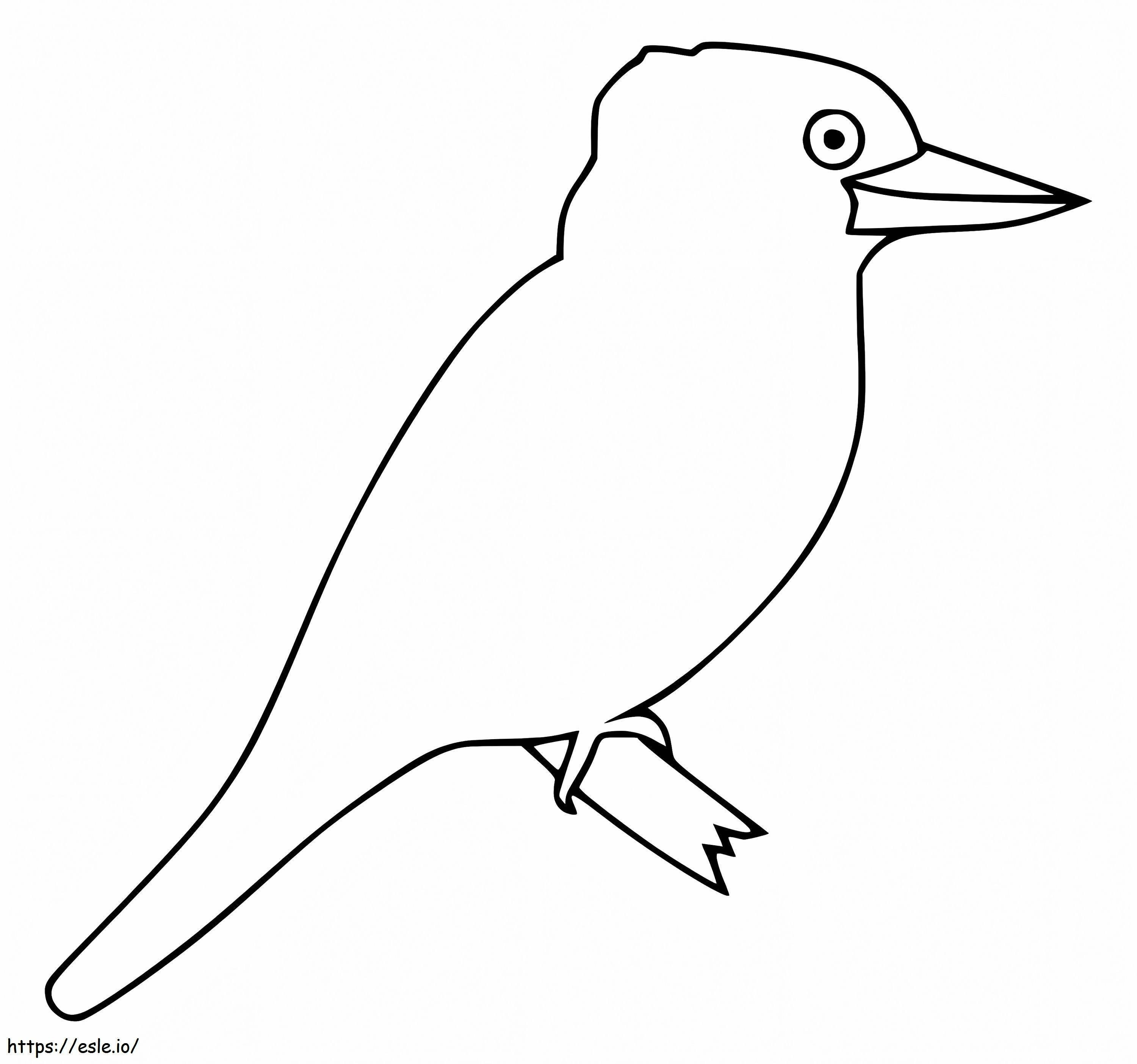 Kookaburra fácil para colorir