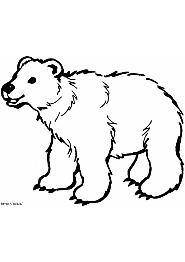 Niedźwiedź brunatny 1 kolorowanka