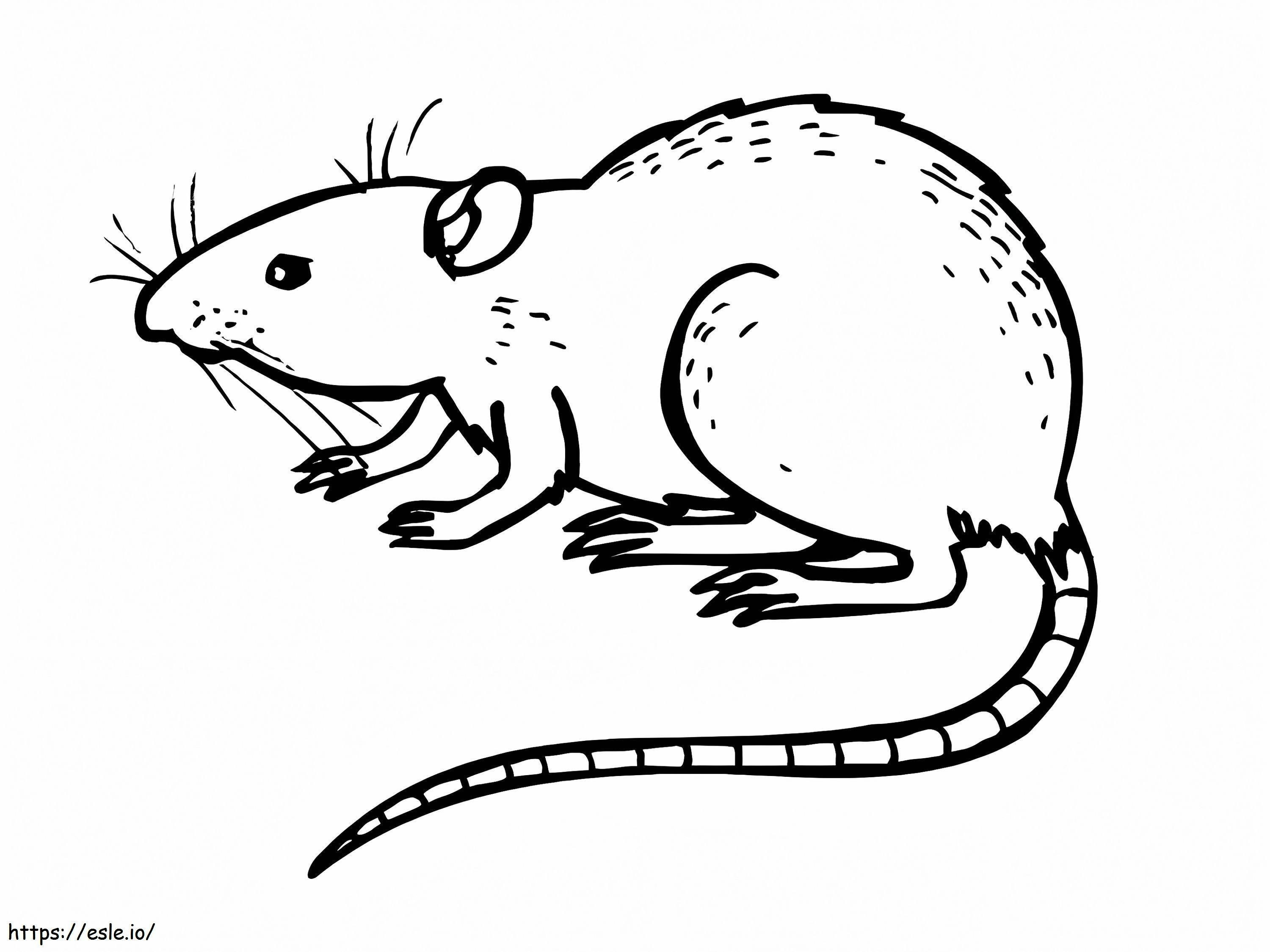 Coloriage Rat à colorier à imprimer dessin