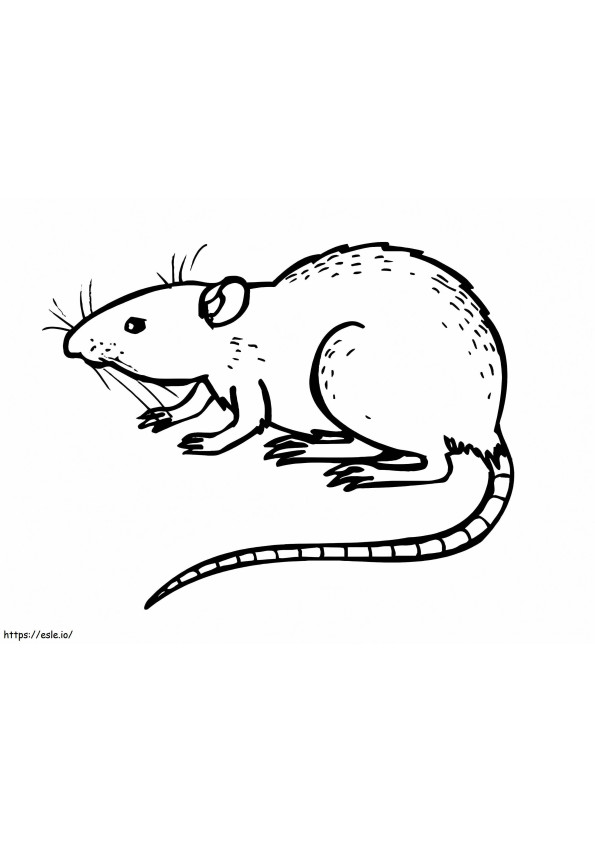 Rat To Color coloring page