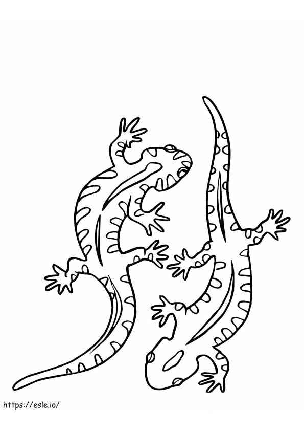 Coloriage Deux geckos à imprimer dessin
