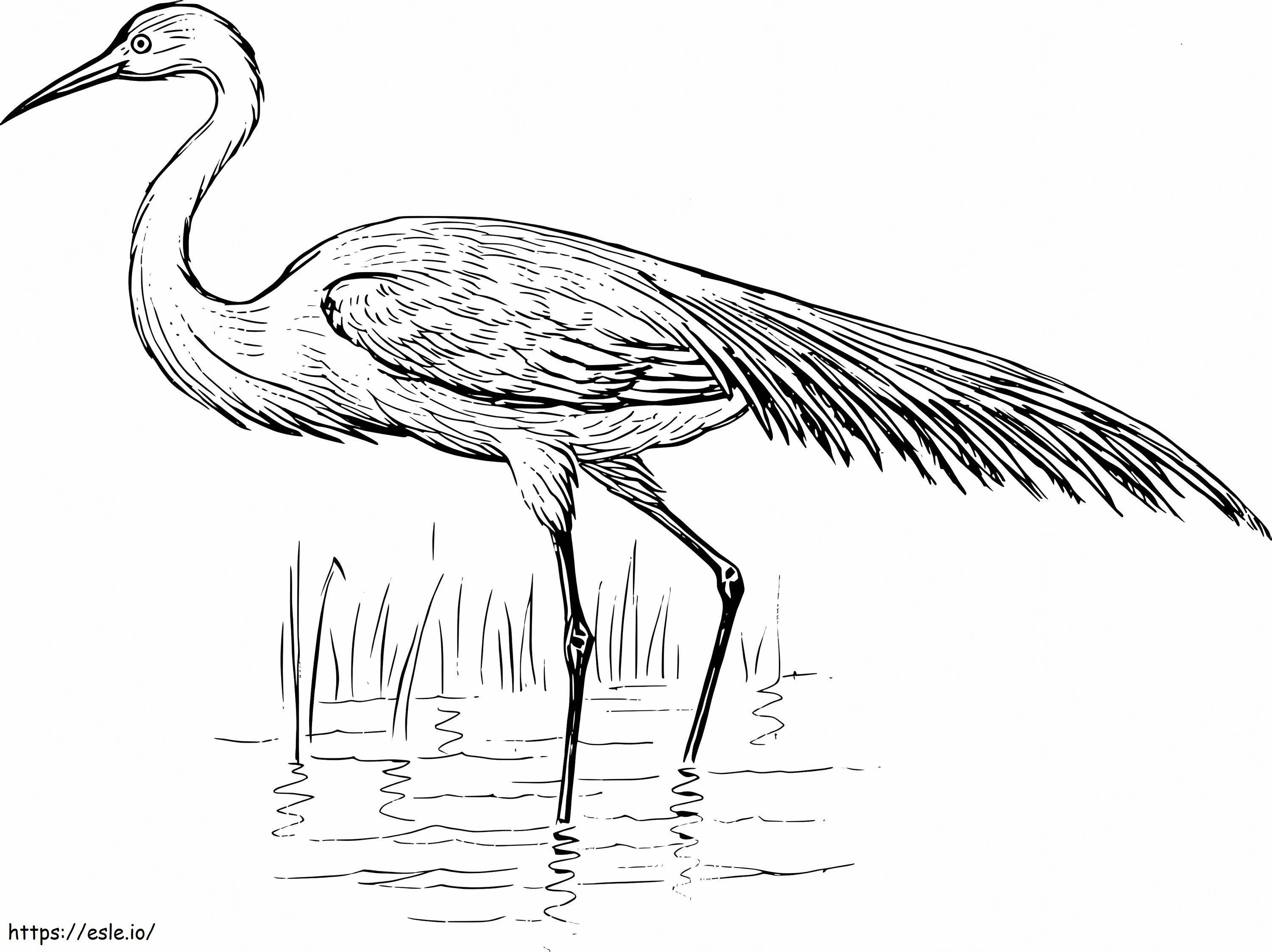 Normal Egret coloring page