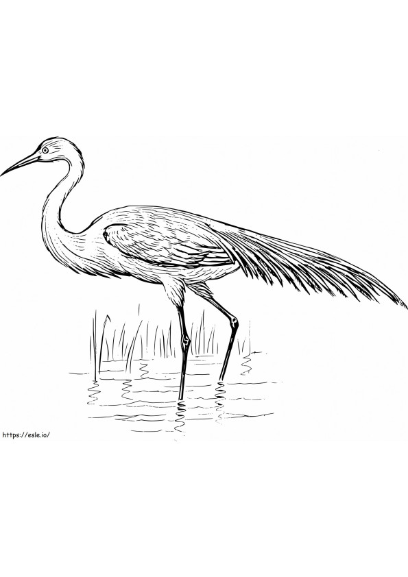 Egretă normală de colorat