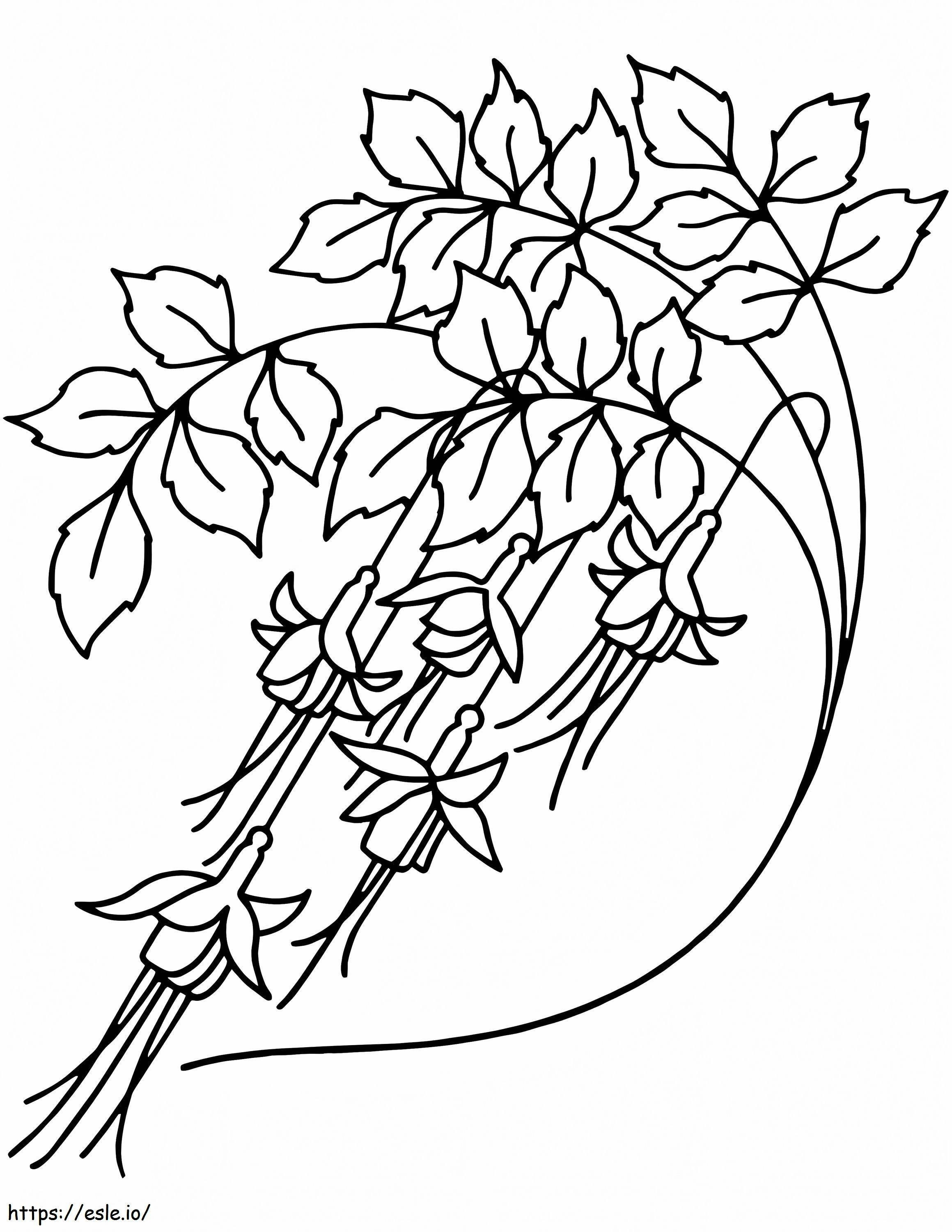 Flores de campânula 10 para colorir
