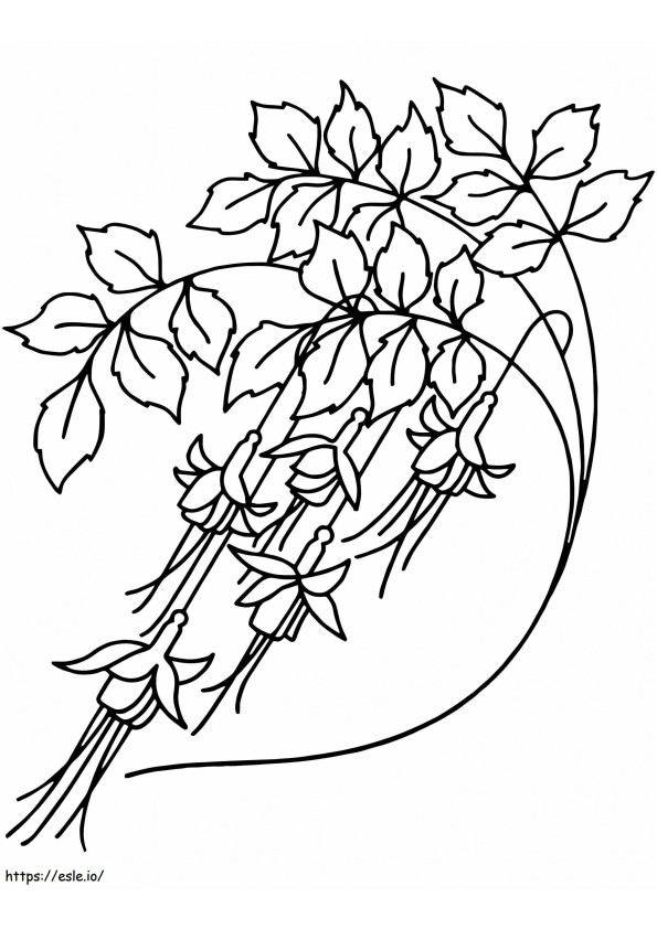 Flores de campânula 10 para colorir
